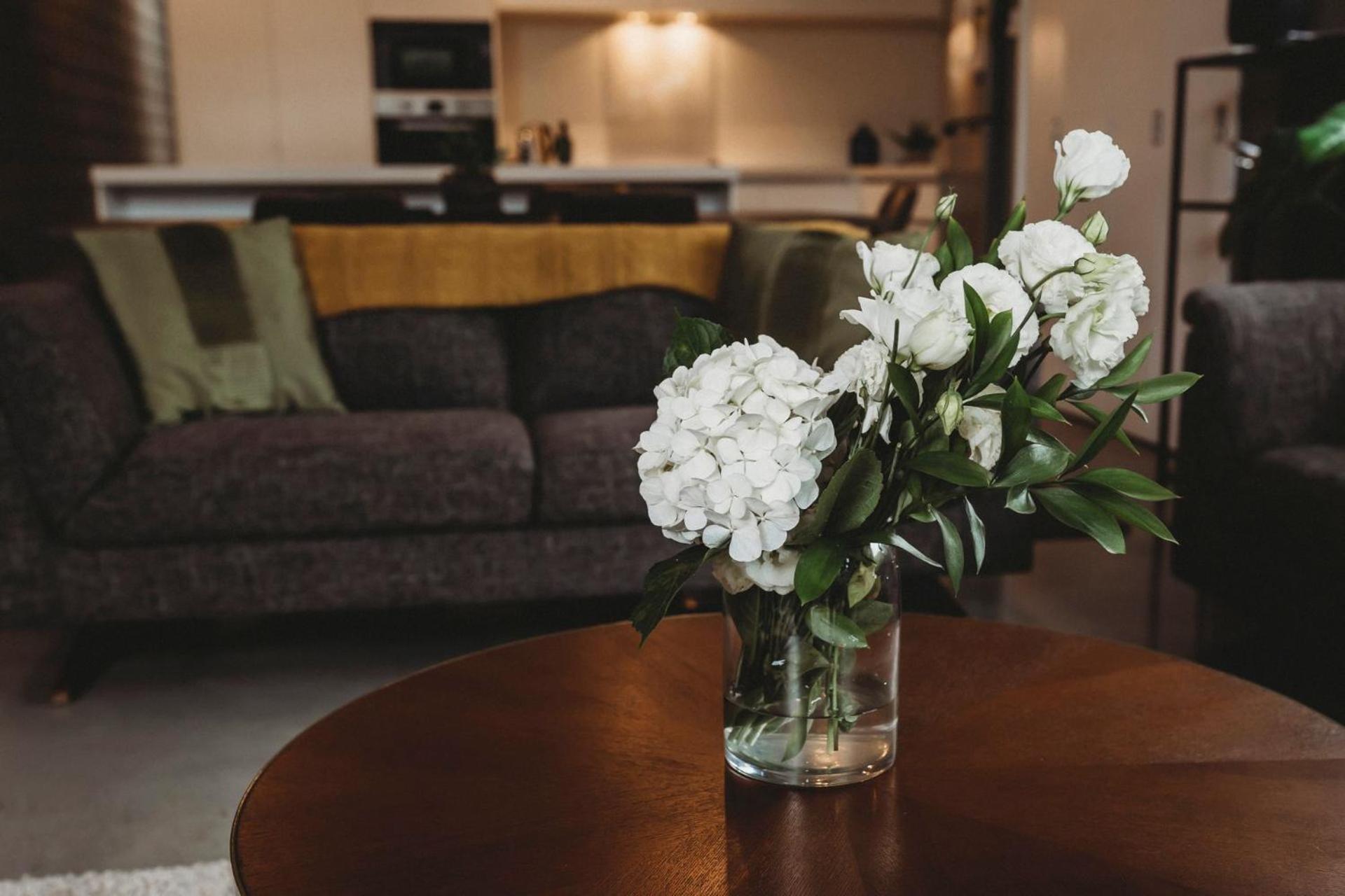 Perfect On Powderham Prime Inner City Location Νιου Πλύμουθ Εξωτερικό φωτογραφία